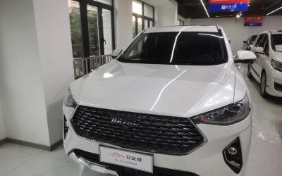 r1018581-haval-f7-2020_0