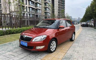 r1018613-skoda-fabia-2012_0