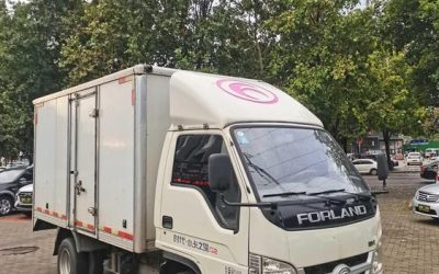 r1018646-futian-xiangling-m-2019_0