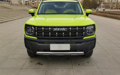 r1018680-haval-x-dog-2022_0