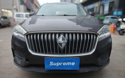 r1018734-borgward-bx7-2019_0