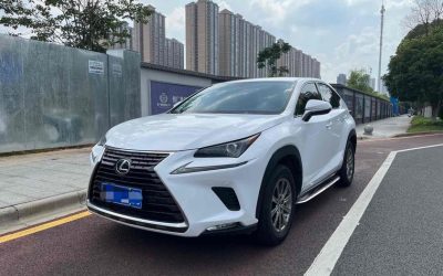 r1018831-lexus-nx-2020_0