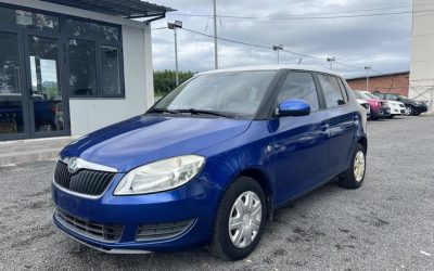 r1018839-skoda-fabia-2012_0