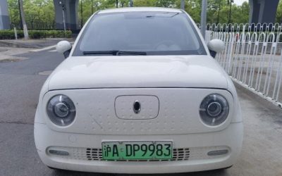 r1018951-ora-black-cat-2020_0
