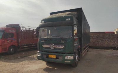 r204353-dolica-d12-2020_1