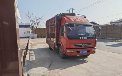 r204356-dolica-d5-2018_1