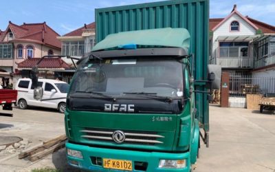 r204446-dolica-d8-2019_1