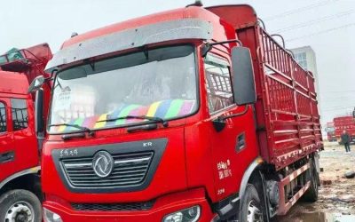 r205084-dongfeng-tianjin-kr-2020_1