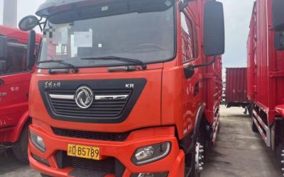 r205123-dongfeng-tianjin-kr-2021_1