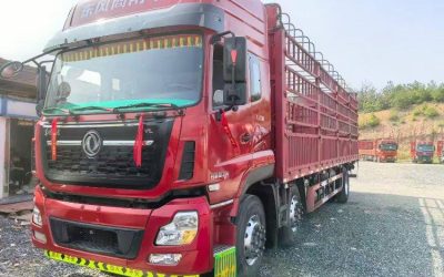 r205572-dongfeng-tianlong-vl-2021_1