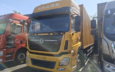 r205587-dongfeng-tianlong-vl-2019_1