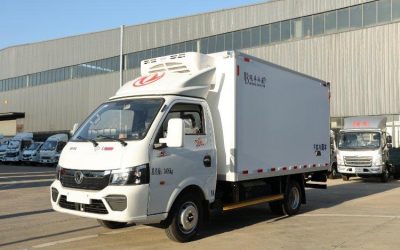 r205769-tuyi-t5-2024_1