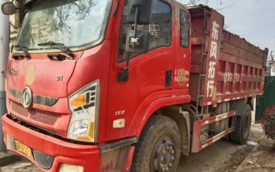r205830-dongfeng-tuoxing-d1-2021_1