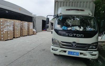 r206447-foton-forland-m3-2019_1