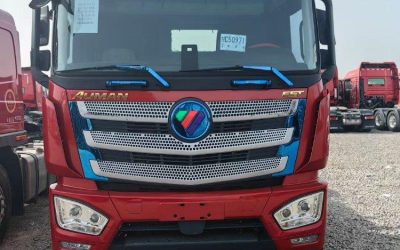 r207660-foton-auman-est-2019_1