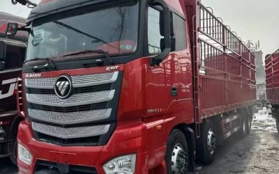 r207776-foton-auman-est-2018_1