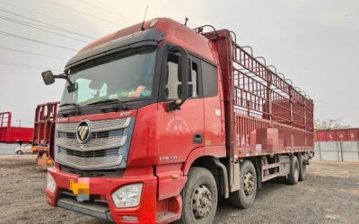 r207777-foton-auman-est-2020_1