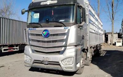 r207785-foton-auman-est-2021_1