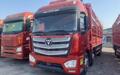 r207864-foton-auman-est-2020_1