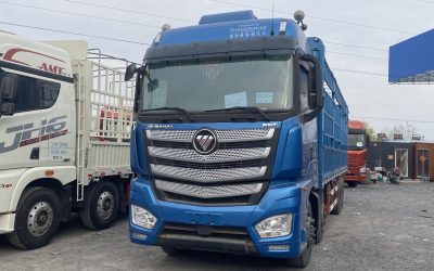 r207878-foton-auman-est-2021_1