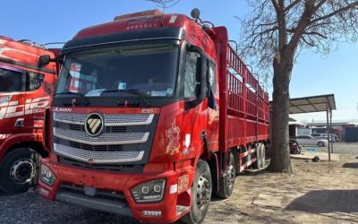 r207885-foton-auman-est-2019_1