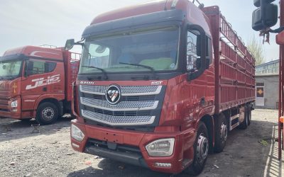 r207888-foton-auman-est-2019_1