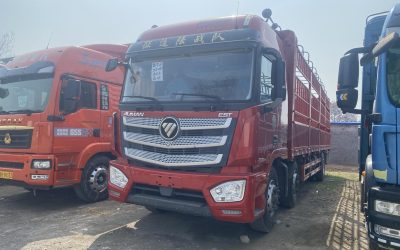 r207899-foton-auman-est-2021_1