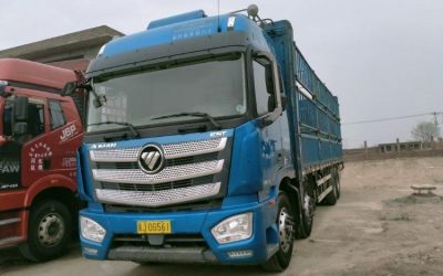 r207915-foton-auman-est-2021_1