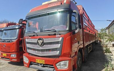 r207918-foton-auman-est-2020_1