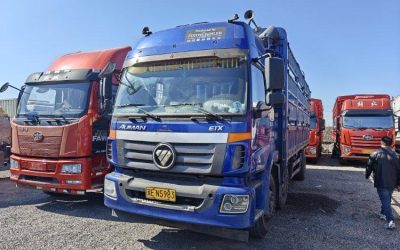 r207998-foton-auman-etx-2019_1