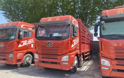 r209221-jiefang-jh6-2020_1