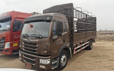 r209435-jiefang-long-v-2017_1