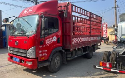 r211983-jiefang-hu-v-2021_1