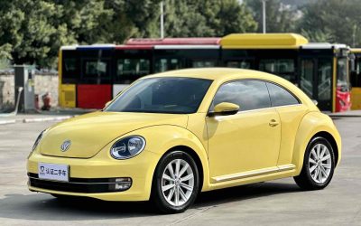 r1016261-volkswagen-beetle-2014_0