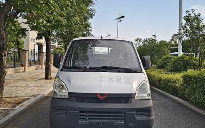 r1016464-wuling-rongguang-light-truck-2018_0