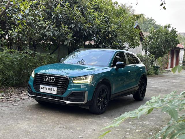 r1016635-audi-q2l-2019_0