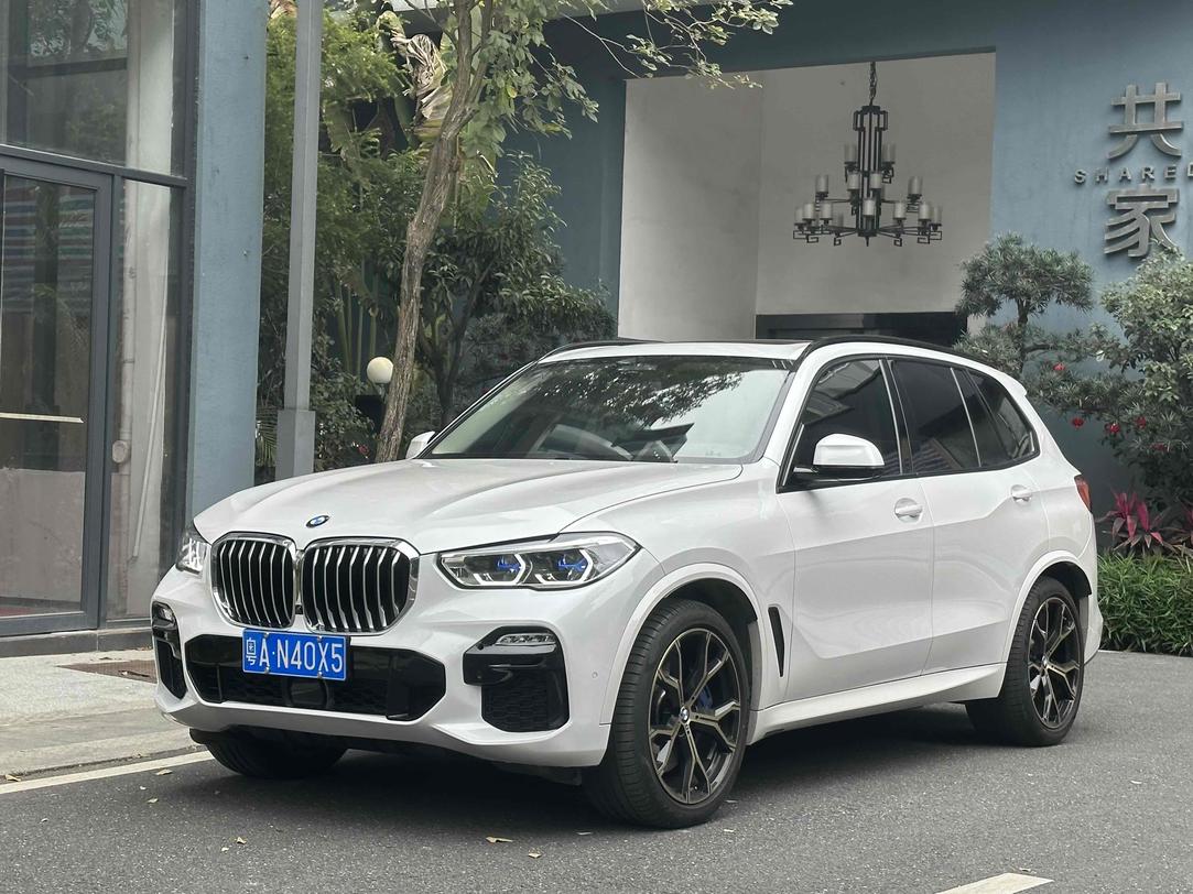 r1016842-bmw-x5-2019_0