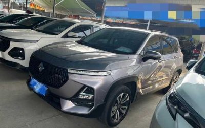 r1017306-baojun-rs-5-2019_0