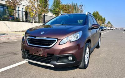 r1017393-peugeot-2008-2016_0