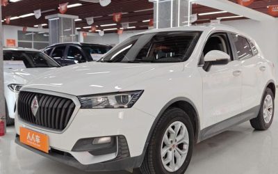 r1017500-borgward-bx5-2019_0