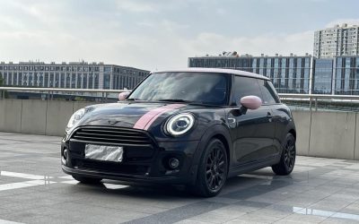 r1017559-mini-2020_0