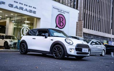 r1017685-mini-2019_0