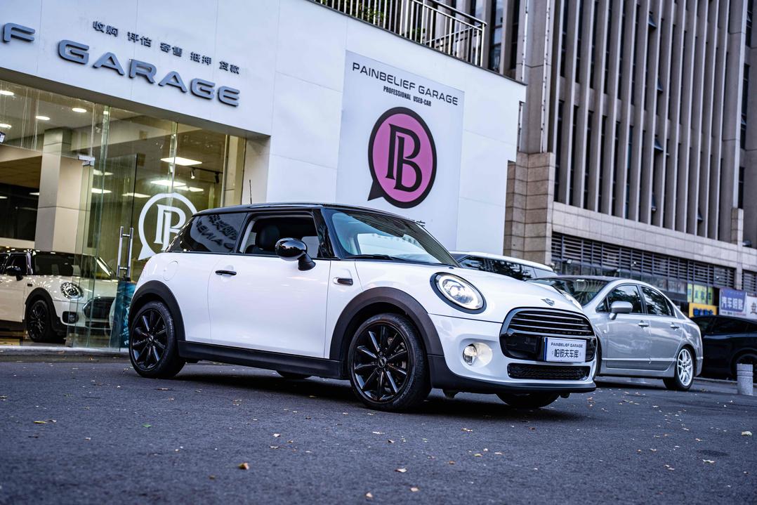 r1017685-mini-2019_0