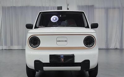 r1017845-geely-panda-2024_0