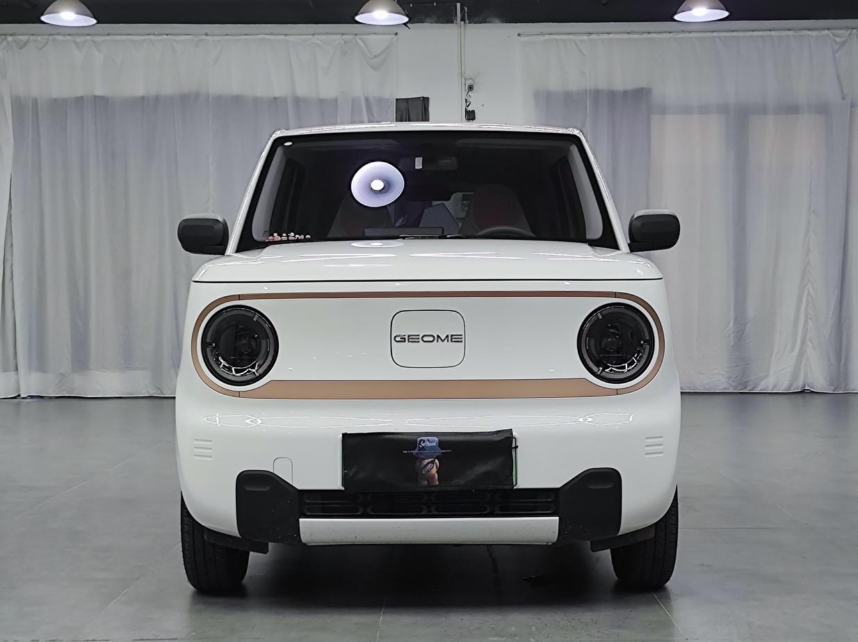 r1017845-geely-panda-2024_0