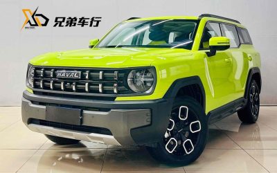 r1017921-haval-x-dog-2022_0