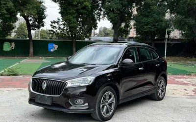 r1018210-borgward-bx7-2019_0