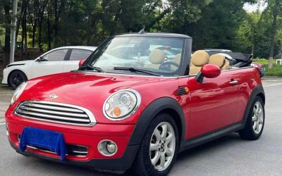 r1018298-mini-2010_0