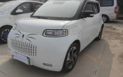 r1018432-ora-white-cat-2020_0