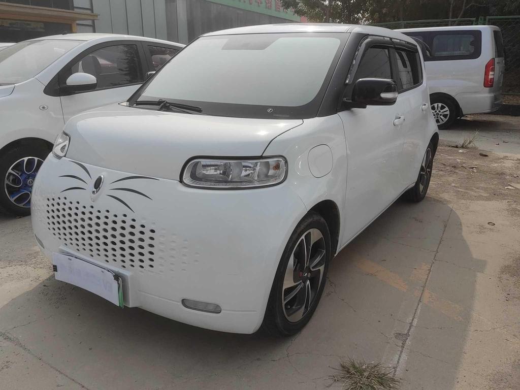 r1018432-ora-white-cat-2020_0